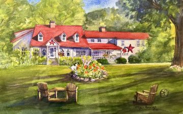 Buttonwood 4